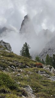 Foto von Klaus Foissner 1 entlang der Tour