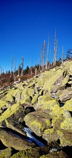 Fotografia z ReginaSt na trase