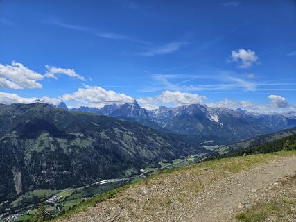 Foto von Apfelblüte entlang der Tour