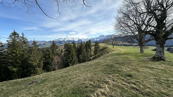Foto von peter_oe entlang der Tour