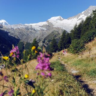 Wanderweg mit Blick auf die Gletscher von Saas-Fee