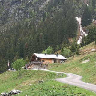 Saalalm