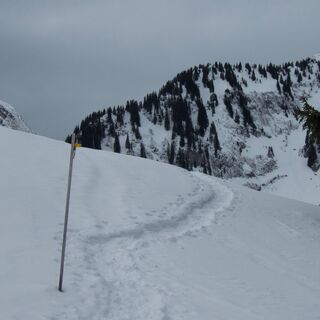 Trail Richtung Oberer Hundsbühl