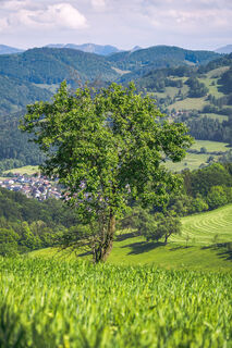 Fotó a Leo Fahrngruber honlapról a túra során