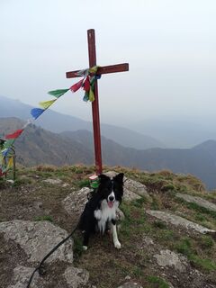 Foto von pat59a60 entlang der Tour