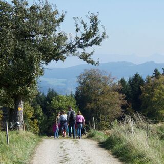 Weg nach Englisberg - Gürbetaler Höhenweg