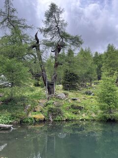 Photo de Jörg Z le long du parcours
