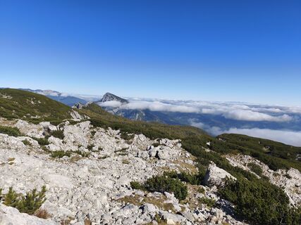 Photo de Marko Bešter le long du parcours