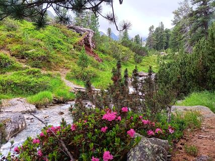 Photo from Bärbl del Negro along the tour