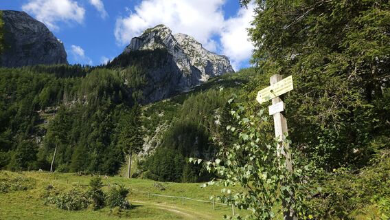 Foto från kriessda under resans gång