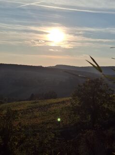 Foto von Krusch entlang der Tour