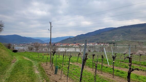Foto de Romana Klemmer-Wurzer a lo largo del recorrido