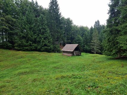 Photo de Gregor Bizjak79 le long du parcours