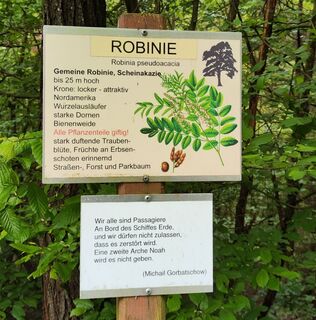 Kirchschlager Bienen- &amp; Pflanzenlehrpfad