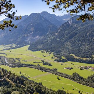 Ausblick in Richtung von Vils vom Falkenstein