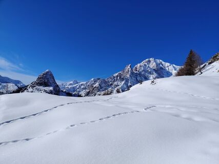 Fotografija s spletne strani Anita Lovat na poti