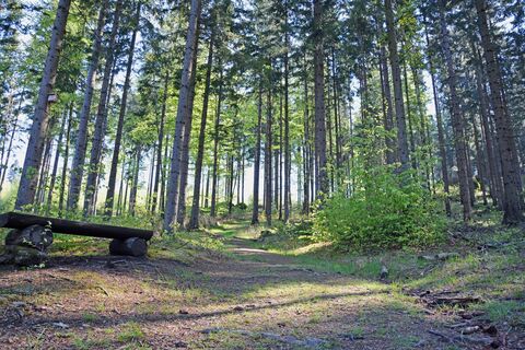 Weltkugel-Wanderweg