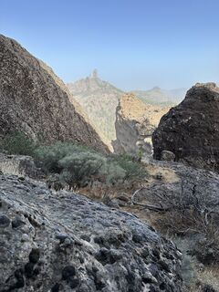 Foto de justasimpleguy a lo largo del recorrido