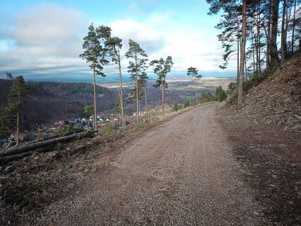 Photo de Ledimar le long du parcours