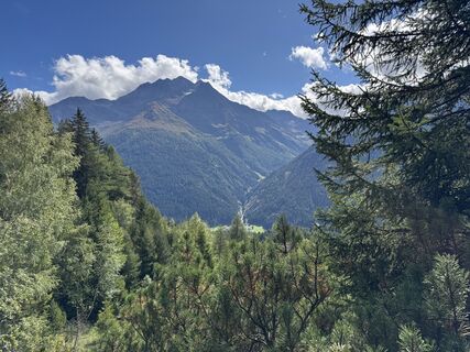 Foto von Jasper entlang der Tour
