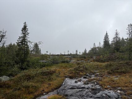 Foto fra Jako Koel undervejs på turen