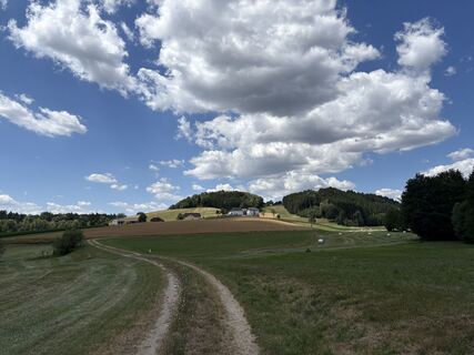 Foto von Moonytiger entlang der Tour
