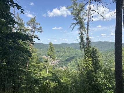 Photo de Klaus le long du parcours