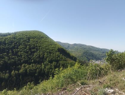 Foto von Regina Tauchner entlang der Tour