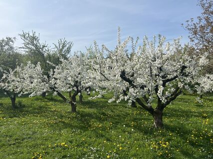 Foto von Wilfried Wagner entlang der Tour