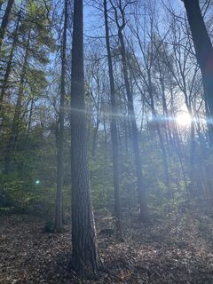 Fotografie z Harald Köbler na trase