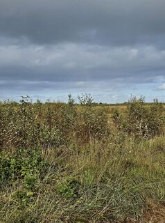 Foto von Angelika Gerung entlang der Tour