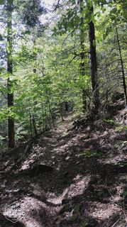 Fotografija s spletne strani Jacky belzung na poti