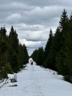 Photo de Robert Stefko le long du parcours