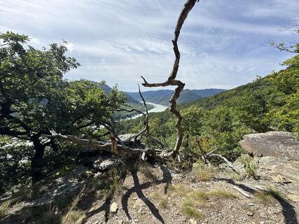 Fotografija s spletne strani Willibald BRIZA na poti