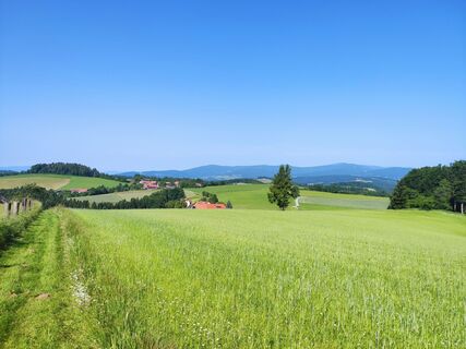 Fotografija s spletne strani stuebi na poti