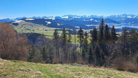Fotografie de la Otto Wernli de-a lungul turului