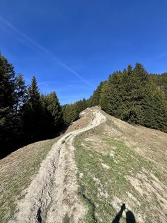 Foto von Aurelian Böhler entlang der Tour