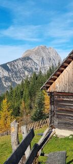 Foto da Mario Libardi lungo il tour