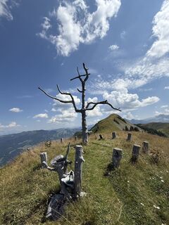 Foto von Noah Roe entlang der Tour