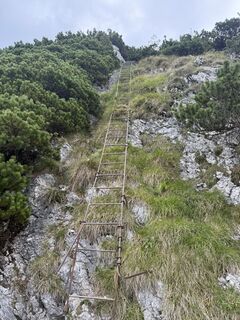 Foto von Daniel Voglhuber entlang der Tour