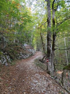 Start vom Gnanitzweg auf WW Nr. 275