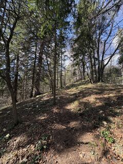 Photo de Moonytiger le long du parcours