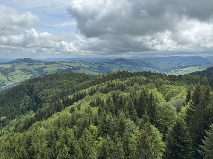 Fotografie de la Robert Kremlicka de-a lungul turului