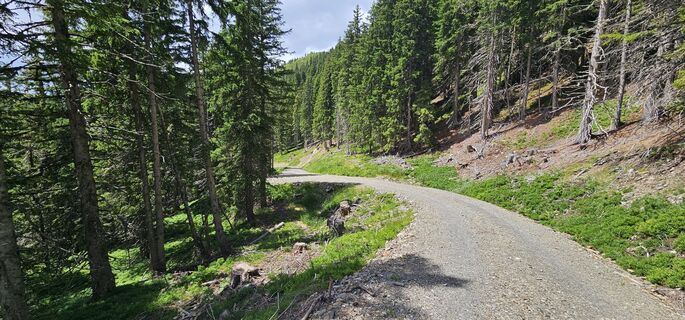 Fotografija s spletne strani Michael Ganswind na poti