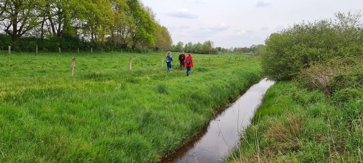 Niederlangen Kapellenmoorgraben