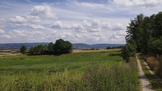 Waldrand Mechtshausen