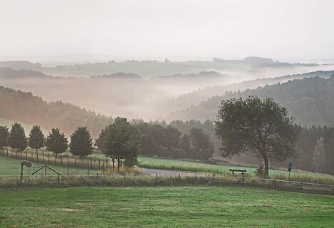 Nebel über Windeck