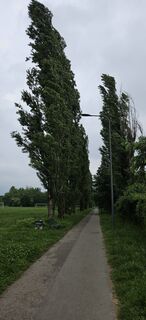 Zdjęcie z PAOLO85LAINO wzdłuż trasy