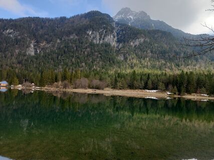 Fotografija s spletne strani Tamás Kiss (Mr. Mojo) na poti