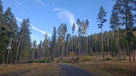 Fotó a Gobio honlapról a túra során
